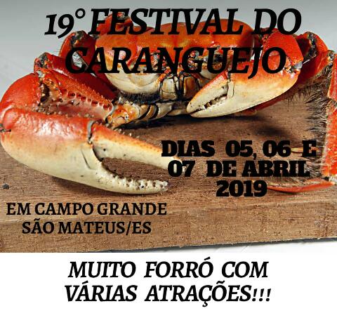 CARTAZ DO FESTIVAL