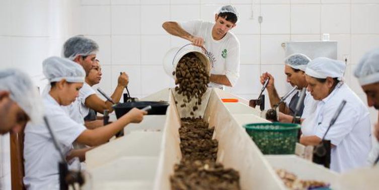 trabalho temporario